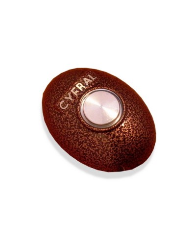 Кнопка открывания двери Цифрал КОДсП-4 в Рыбинске Многоабонентные устройства Pintop.ru