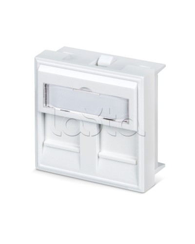 Вставка 45x45 (аналог Mosaic) для 2 модулей формата Keystone Jack Cabeus FP-45-2M в Рыбинске Модули Keystone Pintop.ru