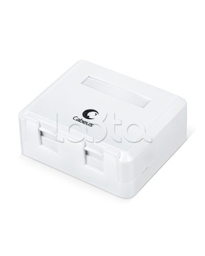 Корпус внешней настенной розетки на 2 Keystone Cabeus MB-2 в Рыбинске Аксессуары для стоек и шкафов Pintop.ru