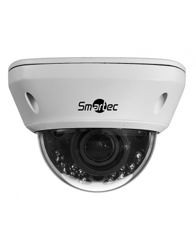 IP-камера видеонаблюдения купольная Smartec STC-IPM5591/1 в Рыбинске IP-камеры Pintop.ru