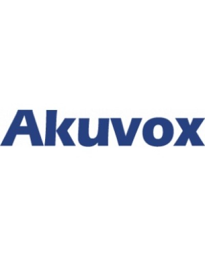 IP монитор (интерком-панель) Akuvox C313W_V2 в Рыбинске Абонентские IP устройства Pintop.ru