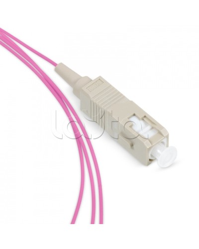 Пигтейл SC 50/125 mm (OM4) 1.5м LSZH Cabeus PT-SC-50-OM4 в Рыбинске Пигтейлы Pintop.ru