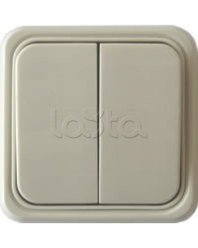 Выключатель двухклавишный открытой установки Экопласт, схема 5, (бежевый) в Рыбинске Розетки компьютерные и телефонные Pintop.ru