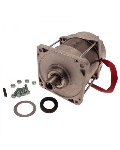 Электродвигатель FERNI Came 119RID087 в Рыбинске Запчасти для шлагбаумов и автоматики Pintop.ru