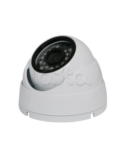 Камера видеонаблюдения купольная EverFocus ACE-IAB20XHD в Рыбинске Аналоговые камеры Pintop.ru