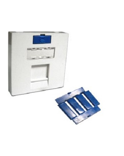 Вставка 45x45 на 1 кейстоун, угловая, со шторкой, маркировкой и иконками, белая LANMASTER LAN-SIP-23A-WH в Рыбинске Аксессуары для кабель-канала Pintop.ru