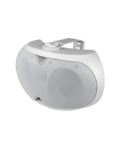 Громкоговоритель настенный 2-х полосный VOLTA ELLIPSE-2440TW в Рыбинске Система оповещения и трансляции Volta Pintop.ru