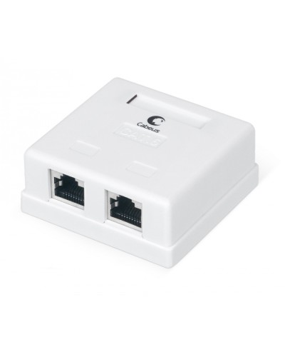 Розетка компьютерная RJ-45(8P8C), категория 6, экранированная, двойная, внешняя, Krone type Cabeus WS-8P8C-Cat.6-SH-2 в Рыбинске Розетки компьютерные и телефонные Pintop.ru