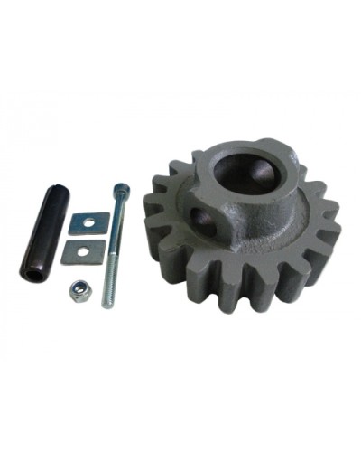 Шестерня ведущая ВК Came 119RIBK002 в Рыбинске Запчасти для шлагбаумов и автоматики Pintop.ru