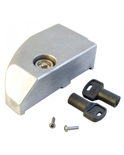 Дверца замка разблокировки BK Came 119RIBK012 в Рыбинске Запчасти для шлагбаумов и автоматики Pintop.ru