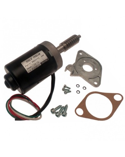 Электродвигатель BX-243 в сборе Came 119RIBX046 в Рыбинске Запчасти для шлагбаумов и автоматики Pintop.ru