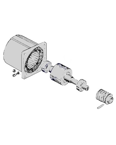 Электродвигатель С-100 Came 119RIC052 в Рыбинске Запчасти для шлагбаумов и автоматики Pintop.ru