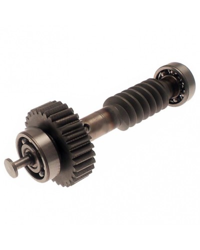 Червяк редуктора FAST в сборе Came 119RID228 в Рыбинске Запчасти для шлагбаумов и автоматики Pintop.ru