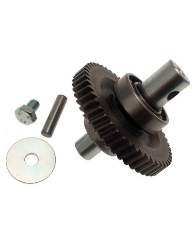 Шестерня редуктора FAST в сборе Came 119RID229 в Рыбинске Запчасти для шлагбаумов и автоматики Pintop.ru