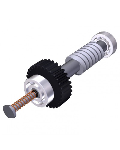 Червяк редуктора FAST40 Came 119RID374 в Рыбинске Запчасти для шлагбаумов и автоматики Pintop.ru