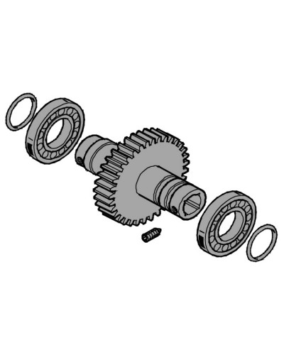 Вал выходной EMEGA Came 119RIE062 в Рыбинске Запчасти для шлагбаумов и автоматики Pintop.ru