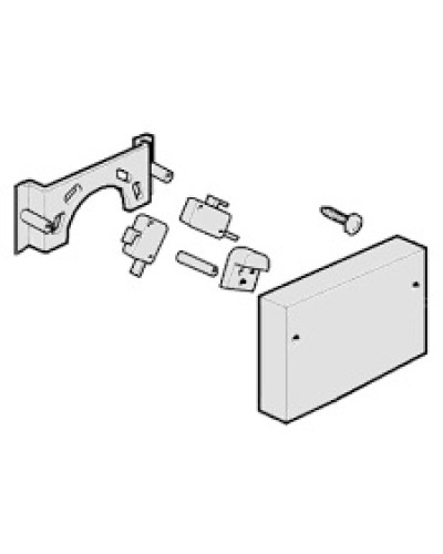Микровыключатели G4000, G3750 Came 119RIG040 в Рыбинске Запчасти для шлагбаумов и автоматики Pintop.ru