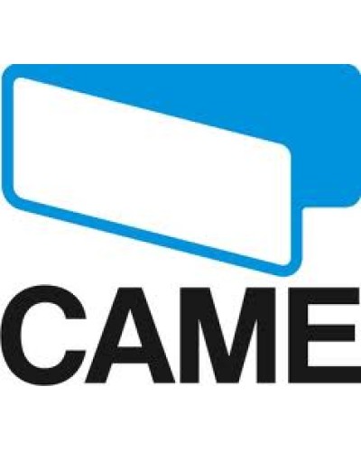 Замок дверцы Came 119RIG213 в Рыбинске Запчасти для шлагбаумов и автоматики Pintop.ru