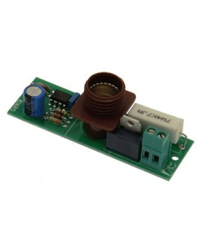 Плата лампы KIARO 24 Came 119RIR030 в Рыбинске Запчасти для шлагбаумов и автоматики Pintop.ru