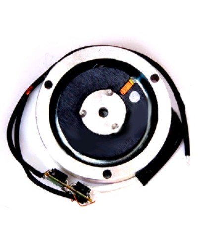 Электромагнит BY1500T Came 119RIY034 в Рыбинске Запчасти для шлагбаумов и автоматики Pintop.ru