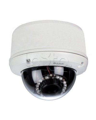 IP-камера видеонаблюдения уличная купольная D-Link DCS-6510/EP в Рыбинске IP-камеры Pintop.ru