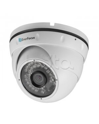 IP-камера видеонаблюдения купольная EverFocus ACE-IAV30 в Рыбинске IP-камеры Pintop.ru