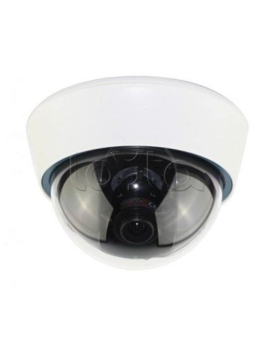 IP-камера видеонаблюдения купольная EverFocus ACE-IOV20A в Рыбинске IP-камеры Pintop.ru