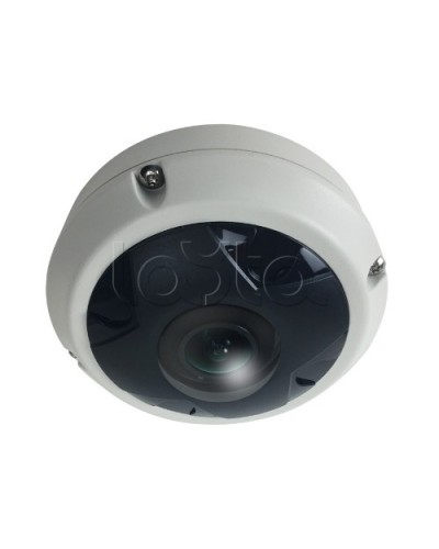IP-камера видеонаблюдения купольная EverFocus ACE-KU89F в Рыбинске IP-камеры Pintop.ru