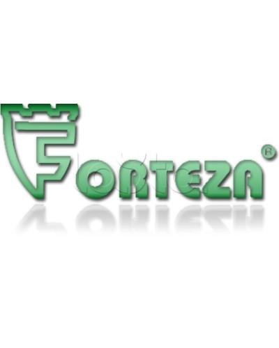 Плата сменная Forteza Плата БГр-4 в Рыбинске Устройства защиты операционных процессоров (ОПС) Pintop.ru