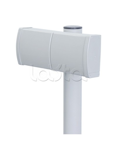 Извещатель радиоволновой однопозиционный Forteza ЗЕБРА-42(5,8)-В (веер) в Рыбинске Извещатели охраны периметра Pintop.ru