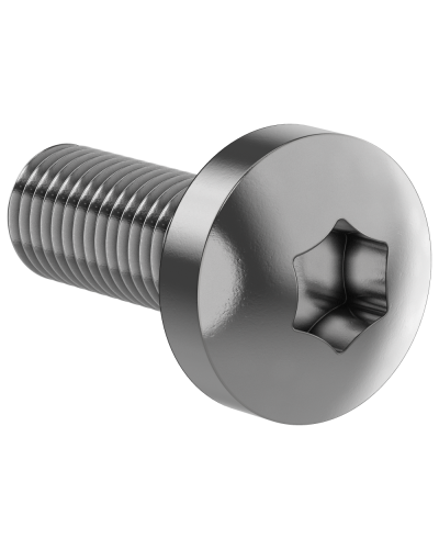 Винт М6х16 IEK (FO-00D-VTORX-M6X16-020) в Рыбинске Аксессуары для стоек и шкафов Pintop.ru