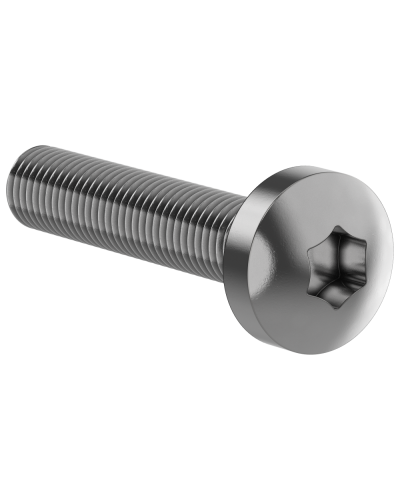 Винт М6х30 IEK (FO-00D-VTORX-M6X30-020) в Рыбинске Аксессуары для стоек и шкафов Pintop.ru