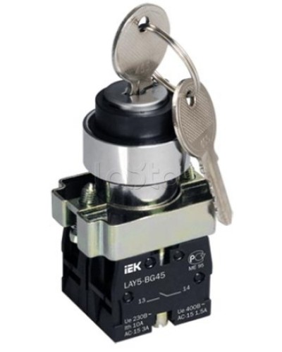 Переключатель LAY5-BG45 на 2 положения с ключом без фиксации IEK BSW80-BG-2-K02 в Рыбинске Аксессуары для стоек и шкафов Pintop.ru