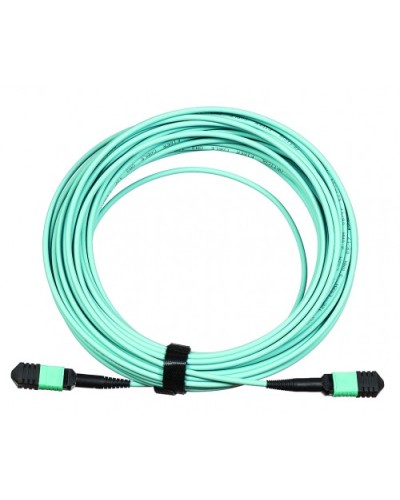 Сборка кабельная LANMASTER (LAN-12M-12M/OM3B-15) в Рыбинске Коннекторы Pintop.ru