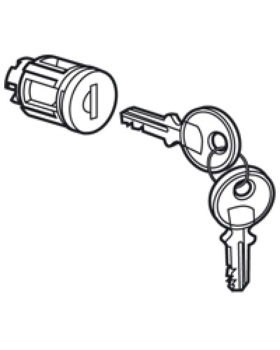 Цилиндр встроенный под ключ №405 Legrand 020291 в Рыбинске Дополнительное оборудование для сетей Pintop.ru