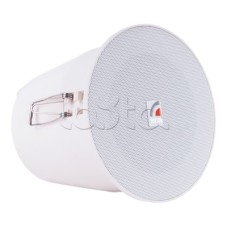 Громкоговоритель ROXTON PA-06WPT