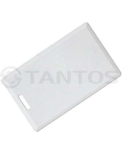 Карта толстая формата Temic Tantos Temic (толстая) TS в Рыбинске Оптовые идентификаторы Pintop.ru