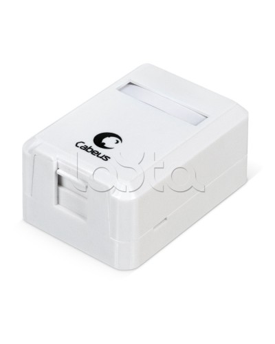 Корпус внешней настенной розетки на 1 Keystone Cabeus MB-1 в Рыбинске Дополнительное оборудование для сетей Pintop.ru