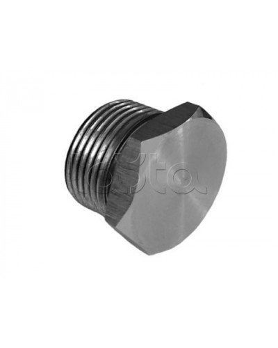 Металлическая резьбовая заглушка взрывозащищённая Магнито-контакт Ех-заглушка ВЗ 1 М Н (под Ø 20) 1Ex d IIС Gb/PB Ex d I Mb или Ex tb IIIС Db или 0Ex ia IIC Ga или 1Ex e IIС Gb в Рыбинске Дополнительное оборудование (Ex) Pintop.ru