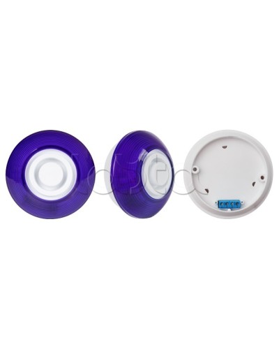 Оповещатель комбинированный SLT Марс 12-КП (строб, син) в Рыбинске Оповещатели Pintop.ru